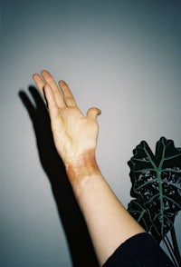 a person's hand with a plant on it