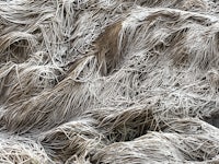 a pile of grass covered in frost