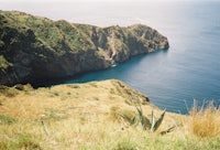 a person is standing on a cliff overlooking the ocean