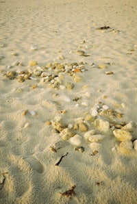 a woman is sitting on a beach with a frisbee in the sand