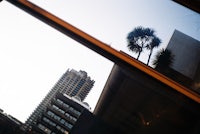 a palm tree reflected in a window